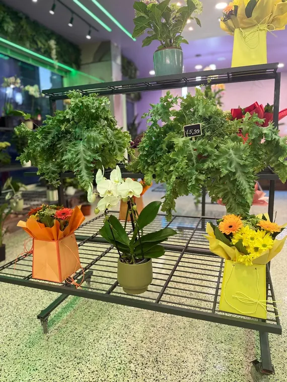 Geschenksträuße und Orchidee auf dem Wagen